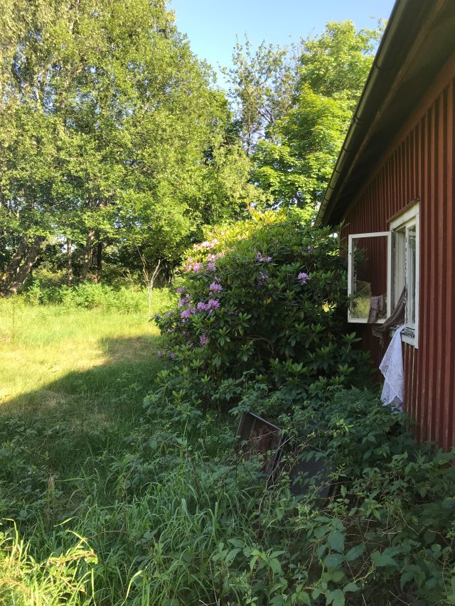 5C29EB9E-38D9-4207-82BA-AD2BE4D51A56