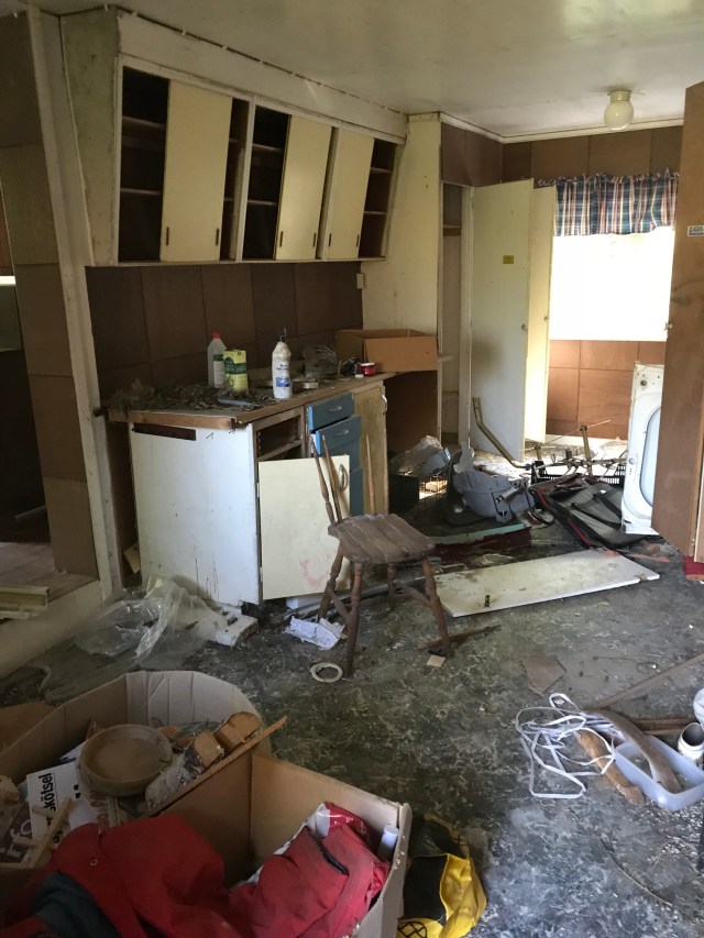 8C2CF6EA-7712-47E3-916A-69CE00E8C946