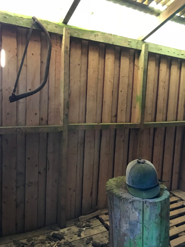 8FC81B8E-C211-4719-94FC-831DE43B310C