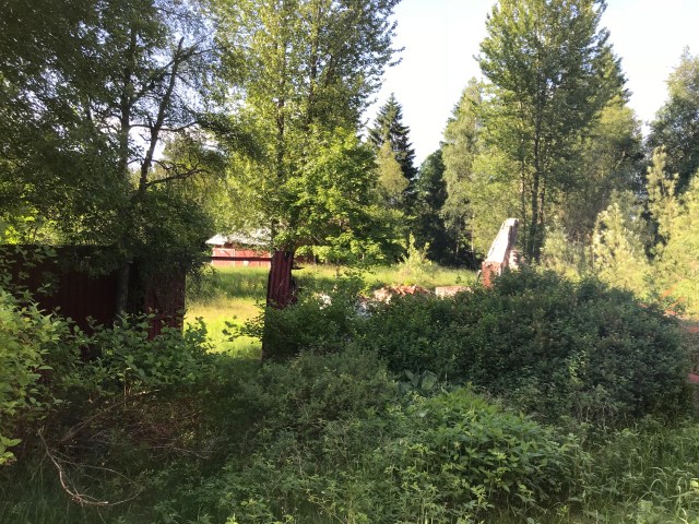 AD2AF12C-B352-4095-80F9-01F90F9A14BB