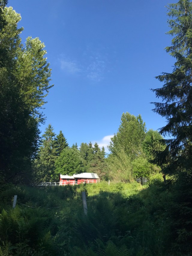 B0657F8E-4E42-4472-BDA1-70F47EFD5D61